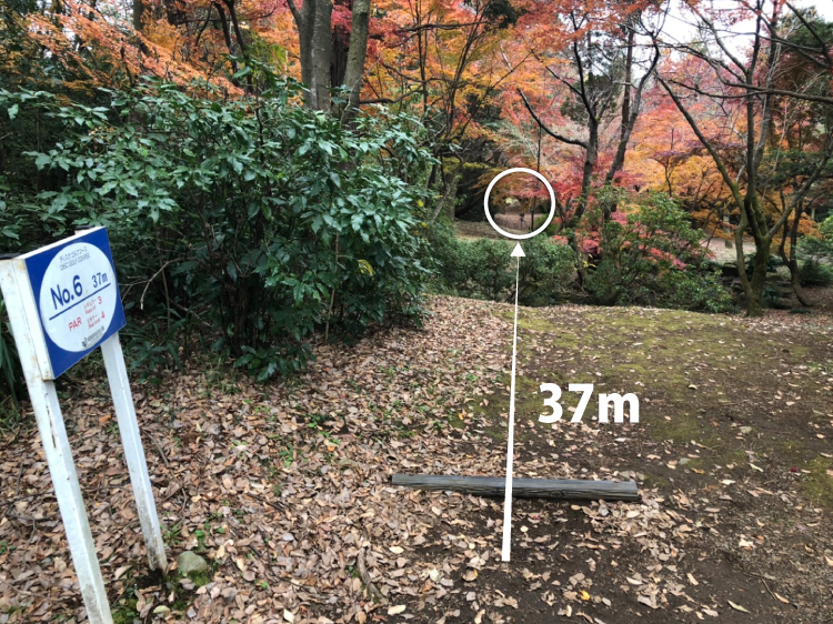 昭和記念公園コース6番ホール